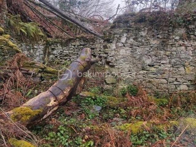 GRANGE FORAINE EN RUINE SUR 1,7 HECTARE – ENVIRONNEMENT NATUREL PRÉSERVÉ