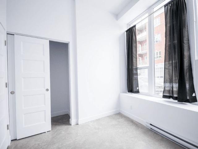 Grand 3 1/2 Style Loft Tout Inclus
