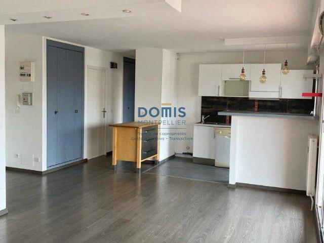Grand T2 de 56 m²