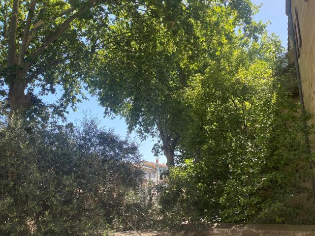 Grand T5 173 m2 Montpellier Centre 2 Terrasses & Parking