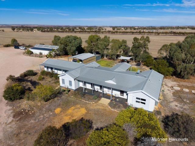GRAND WHEATBELT LIFESTYLE PROPERTY STUNNING MODERN FAMILY HOME ON NEARLY 100 ACRES OF PRODUCTIVE WHEATBELT SOILS