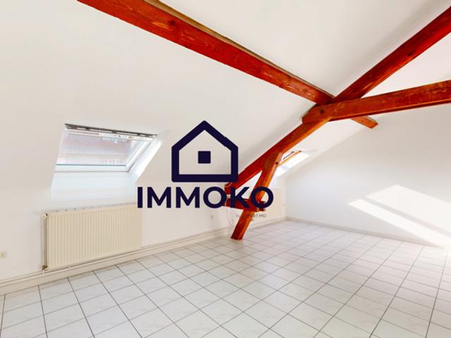 Grand appartement T2/3 lumineux et spacieux