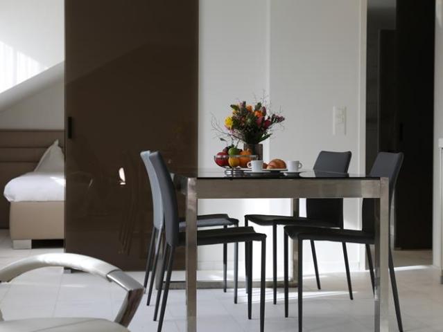 Grand Appartement Terrasse