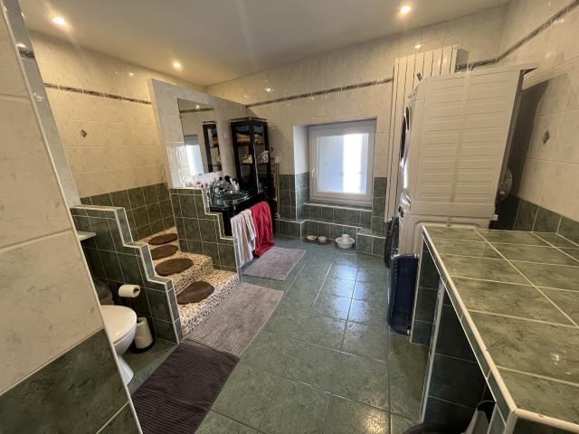 Grand Appartement en duplex à louer 490 EUR par mois à Firminy