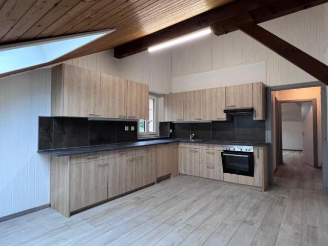 Grand appartement aux combles