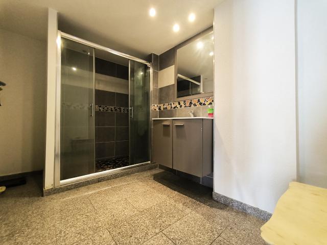 Grand appartement de caractère 110 m2 Brunstatt