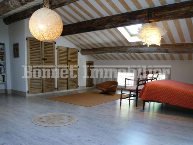 Grand appartement d'exception avec terrasse et jardin à acheter à Nyons