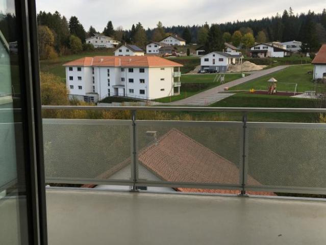 Grand appartement entièrement rénové