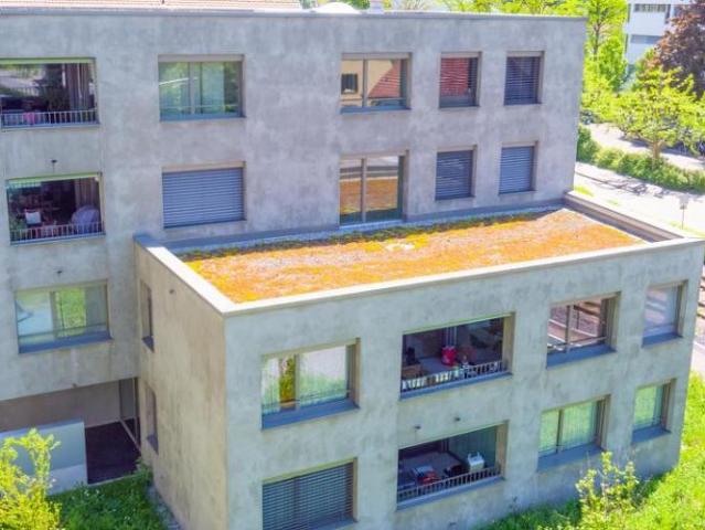 grand et moderne 2,5 ZWG* dans le complexe résidentiel face au parc
