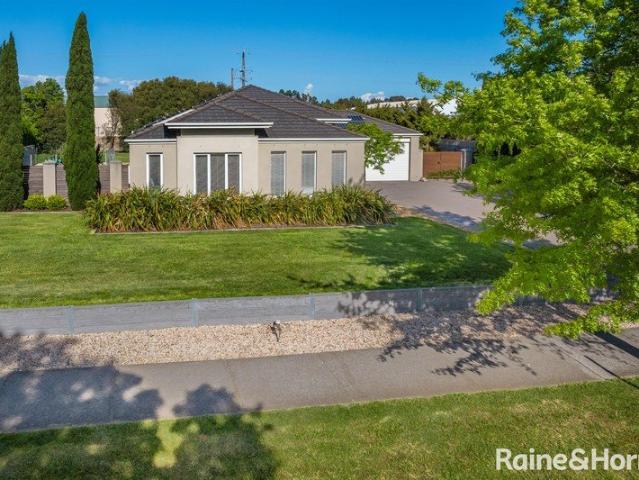 Grand Family Entertainer on a Magnificent 2,000sqm Allotment with Pool, Shed & Endless Lifestyle Appeal