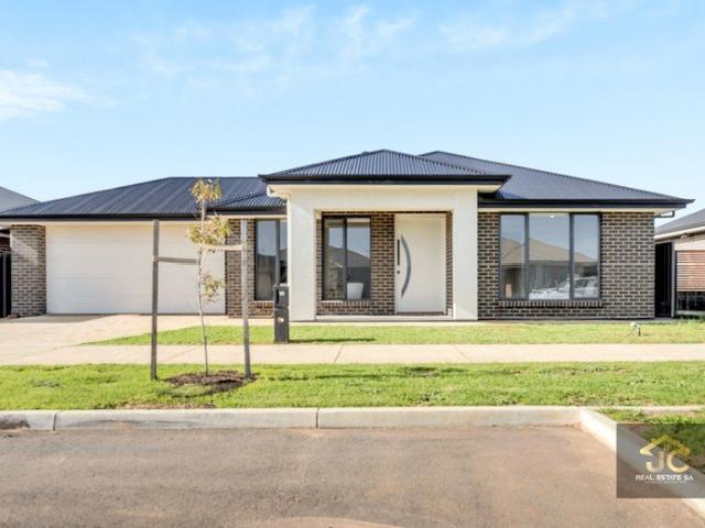 Grand Family Living on 540sqm A Premium Lifestyle Opportunity in Riverlea Park
