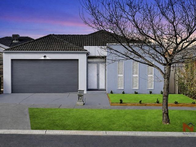 Grand Family Living with Stunning Pergola Entertaining !