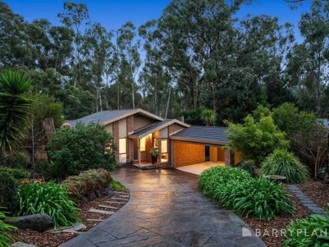 Grand Family Space on 1496sqm in Eltham's Leafy North