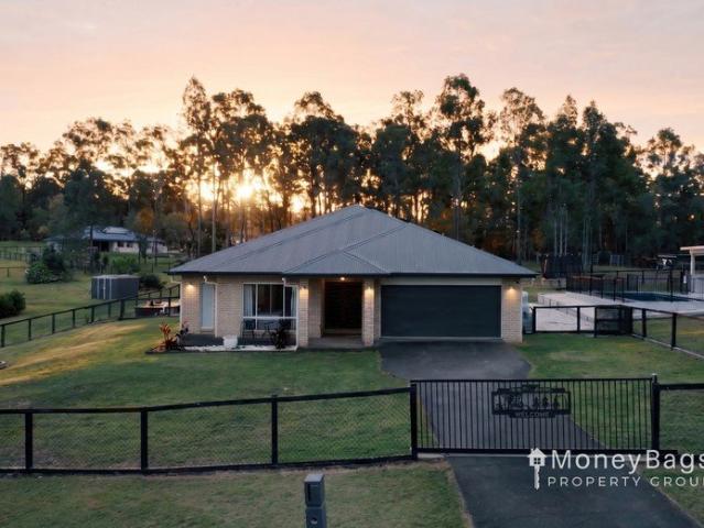 Grand Scale Family Living with Pool, Shed & Paddock on a whopping 7,084m²