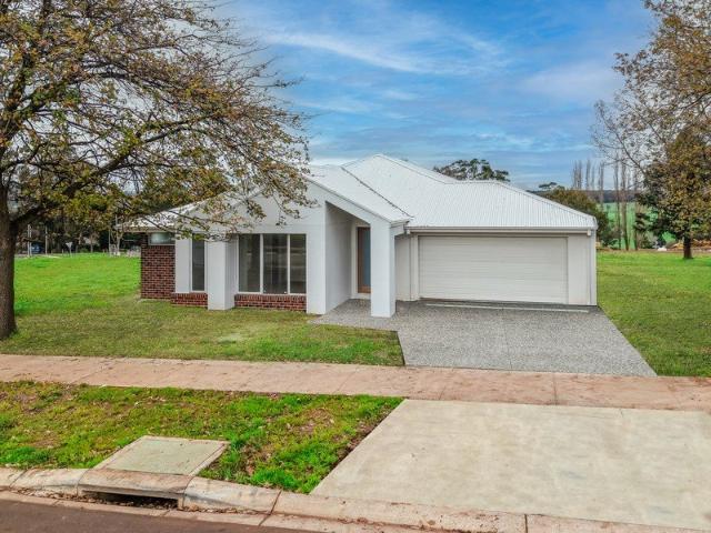 Grand Scale Multi Generational Living in a Premier Tree Lined Setting