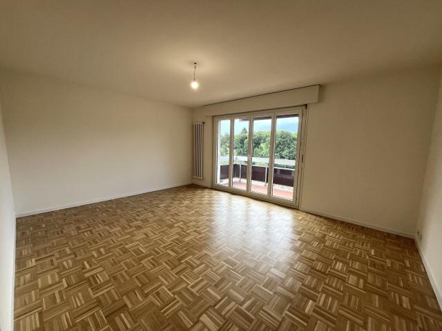 Grand studio avec balcon à Saubraz