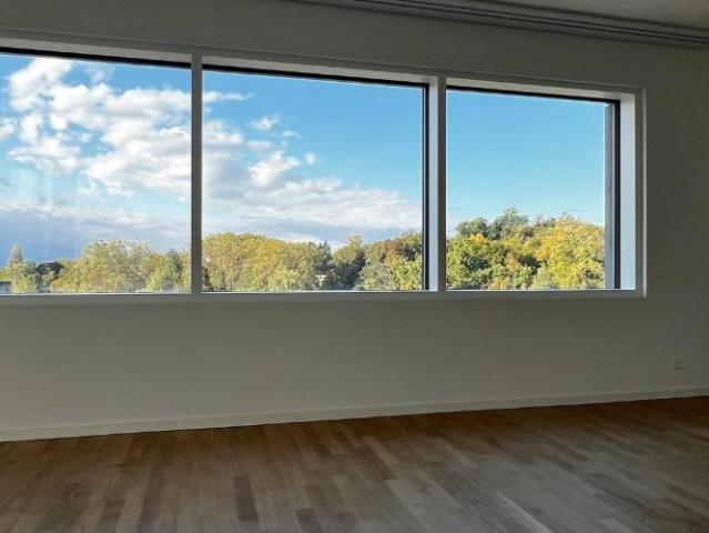 Grand studio meublé en attique avec terrasse