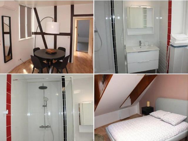 Grand studio meublé 47m2 à Strasbourg