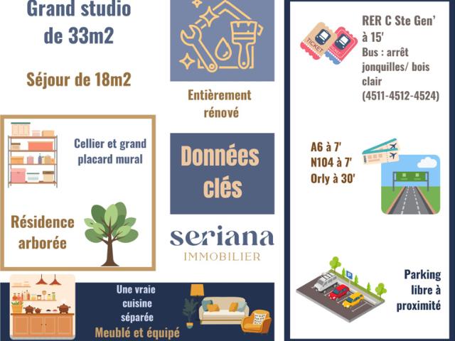 Grand studio Type F1 de 33 m2 meublé avec cave