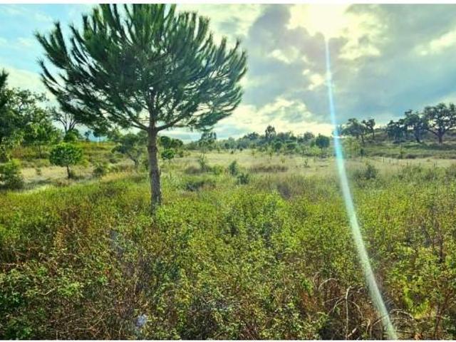 Grândola Grândola 97240666