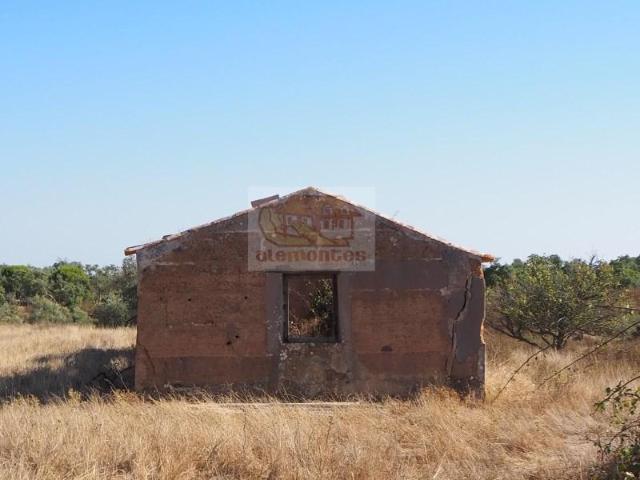 Grândola Grândola 98141250
