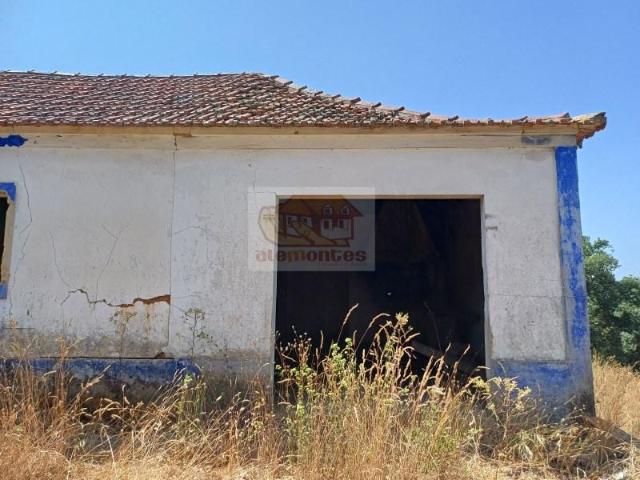 Grândola Grândola 101035937