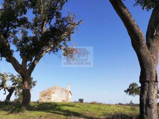Grândola Grândola 101086011