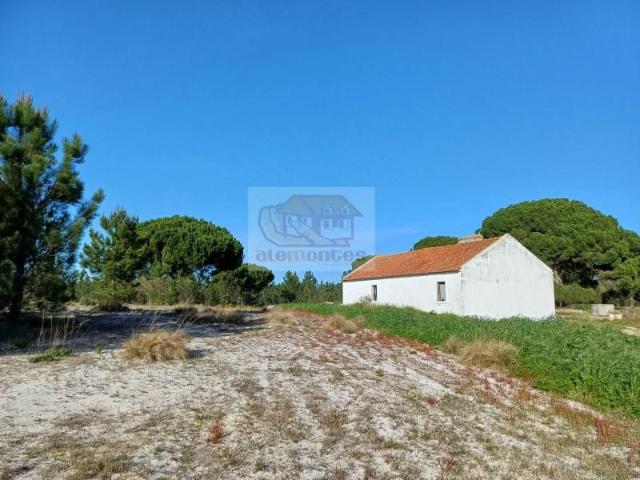 Grândola Grândola 103810310