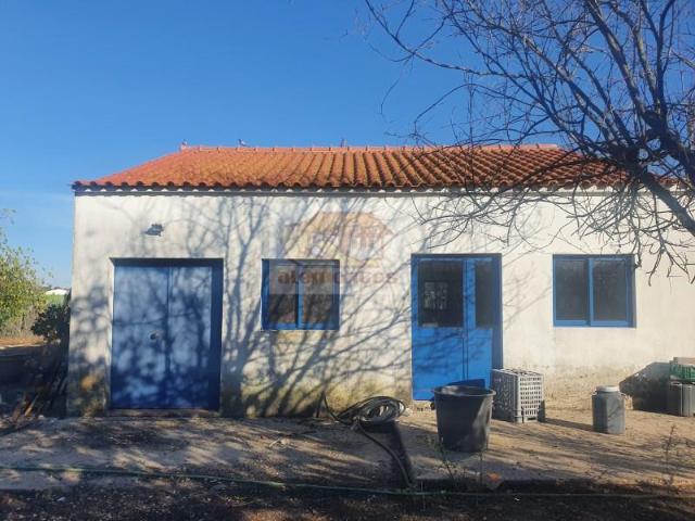 Grândola Grândola 103810312