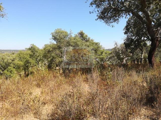 Grândola Grândola 103389020