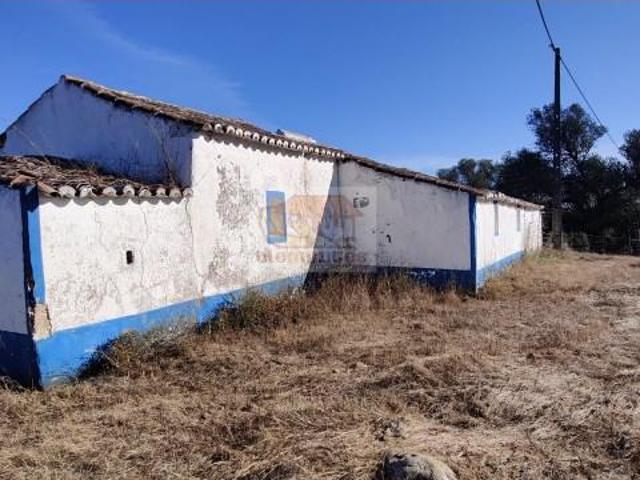 Grândola Grândola 105641452
