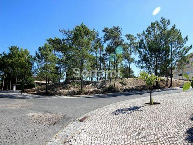 Grandola Setubal 99380090