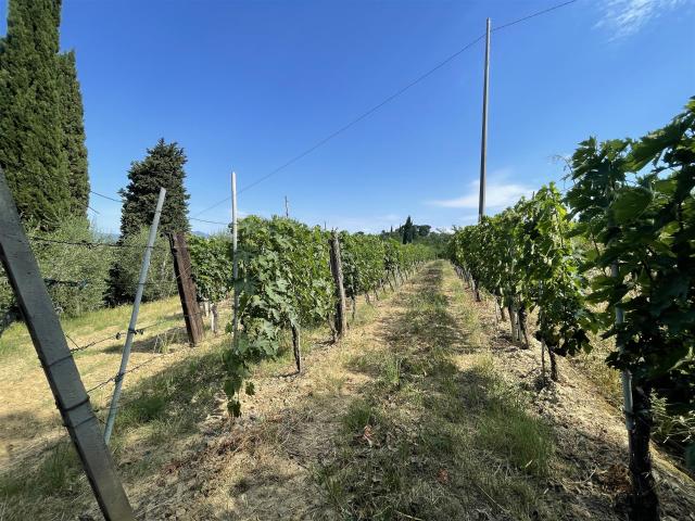 Grande agriturismo con vigneto 700m² Palaia