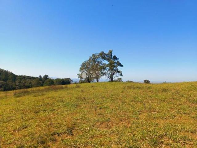 Grande área de terras com mais de 14 hectares no topo do morro da palha em Gravataí