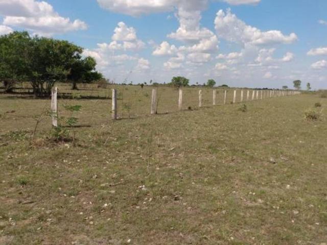 GRANDE FAZENDA NEGOCIO DE OPORTUNIDADE!