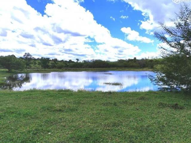 FAZENDA 294 ALQUEIRES PASTO A VENDA BOFETE/SP