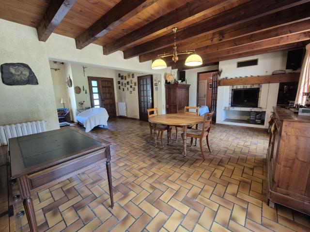 Grande maison avec beau terrain et piscine
