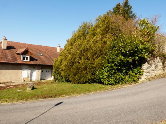 Grande maison de village proche Vosges