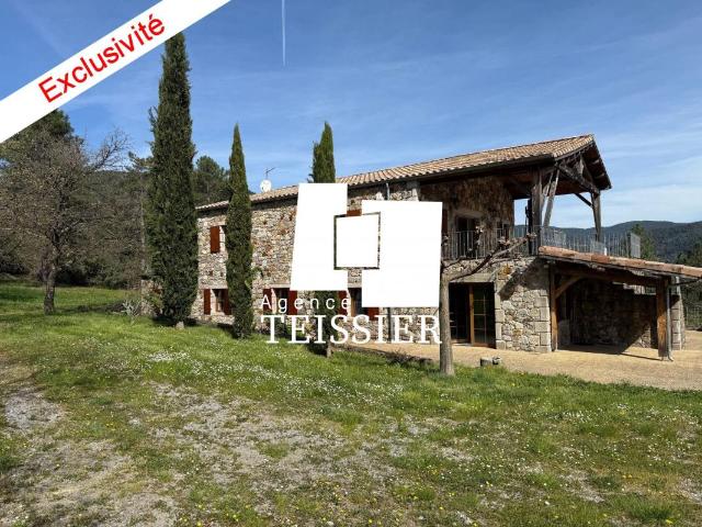 Grande maison en pierres avec terrain