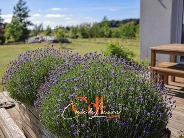Grande maison familiale, immense terrain au calme, plein Sud