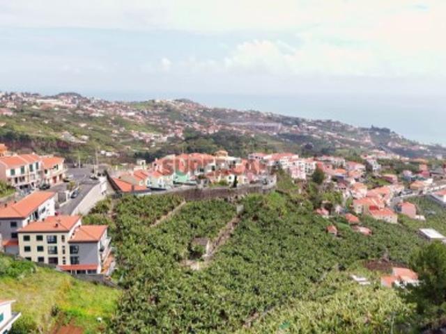 Terreno amplo e único Câmara de Lobos