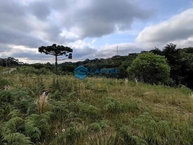 Grande Terreno de 10000m² no Bairro Século XX