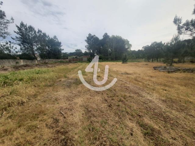 Grande Terreno em Fanhais com Potencial de Construção