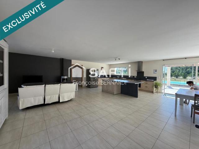 Grande villa avec piscine et grand terrain