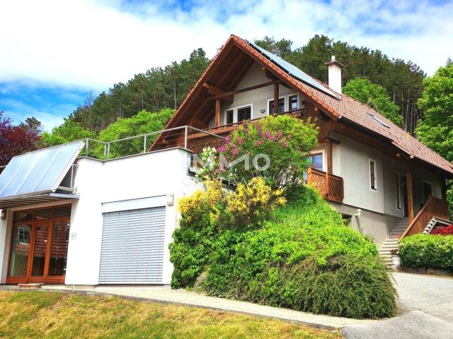 Weinliebhaber aufgepasst: Haus in Aussichtslage, unterkellert, Garage mit Praxis/Einliegerwohnung/Büro