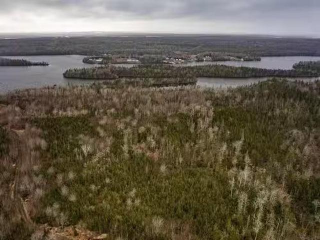 Grandique Road, Grand Lake, NS, B0E 1K0 vacant land for sale.