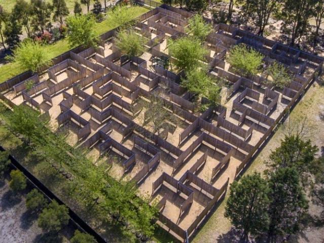 Granite Belt Maze, An AMAZE ing Business & Lifestyle Opportunity