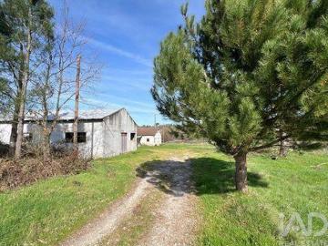 Granja 3 quarto, Mangualde Viseu DS99608012