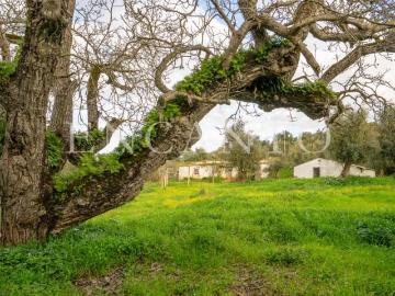 Granja 1 quarto, Montemor Montemor DS90286837