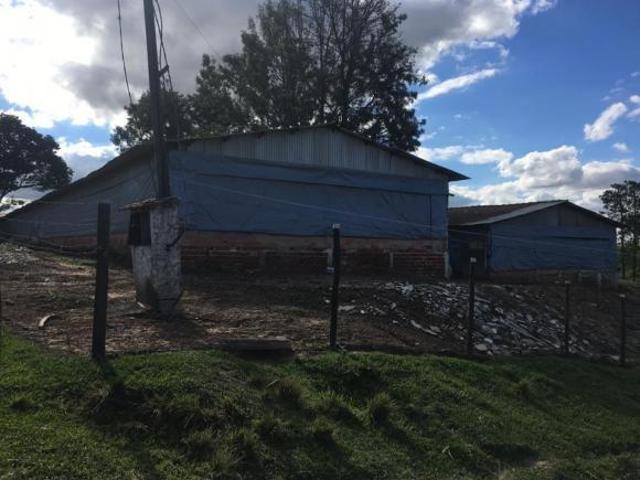 Granja 2 Alqueires, Casa Sede, 2 Galpões, Comporta 12 Mil Frangos, Totalmente Automatizada, Poço Art